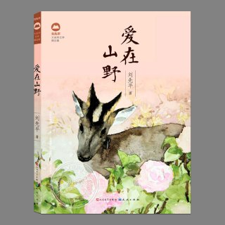 全4册刘先平大自然文学精品集 海钓 追踪雪豹 爱在山野 魔鹿 跟踪金丝猴