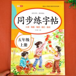 2026新版 五年级上册同步字帖人教版 练字帖小学生专用5上学期语文课本教材训练