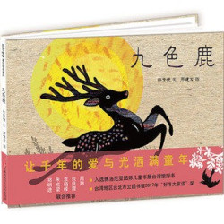 童书东方娃娃精装绘本硬壳老轮胎/漏/九色鹿/等儿童故事书图画书3-8周岁睡前故事亲子阅读幼儿园中班大班读物