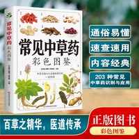 正版常见中草药彩色图鉴中草药图原植物识别中药材全图鉴别中草药