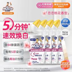 威猛先生 除菌洁厕液 600g