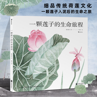 一颗莲子的生命旅程(精)以国画绘出莲的生命轮回国风情怀自然植物科普绘本