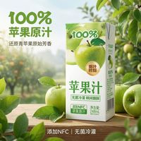 禾丰光华 苹果汁饮品 248mL*10盒