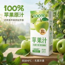 禾丰光华 苹果汁饮品 248mL*10盒