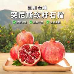 贡鲜果农 突尼斯软籽石榴新鲜水果应季当季整箱四川会理无籽石榴 单果300g+ 净重4.5-5斤