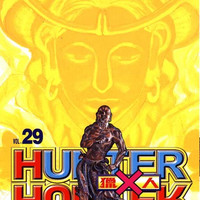漫画 HUNTERxHUNTER猎人1-33/34/35/36/37/38册(可单拍)+全职猎人导读(全) 富㭴义博