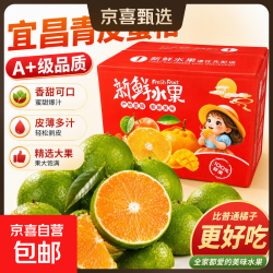 京喜加 云南蜜桔 青皮橘子 单果55mm+ 8斤