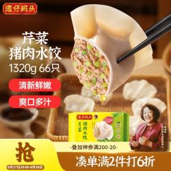 湾仔码头 芹菜猪肉水饺 1.32kg66只 袋装