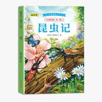 经典阅读丛书注音精读版.第二辑 昆虫记
