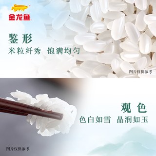 金龙鱼 臻选方正长粒香 东北大米