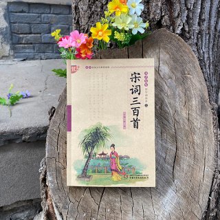 88VIP：书声琅琅 国学诵读--宋词三百首