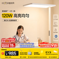 童视界 普瑞红光护眼大路灯 全光谱 120W 落地台灯