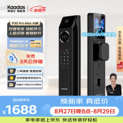 凯迪仕 P30 Pro Max 3D人脸识别 双摄版 智能门锁