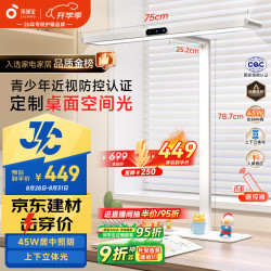 孩视宝 护眼台灯大路灯国AA级学习灯儿童家用智能灯JD66-45W