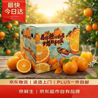 京鲜生 赣南脐橙 单果230g+ 5kg