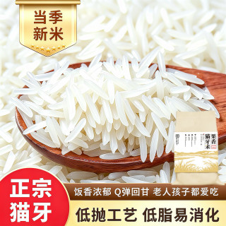 畔边秋田 果香猫牙米当季新米丝苗米低抛长粒米1斤10斤囤货装  果香猫牙米500g