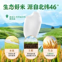 臻致福稻 东北长粒香大米