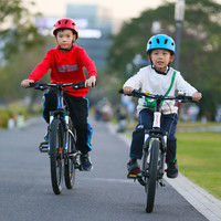 喜德盛 2026款中国风 油压碟刹 26寸山地自行车