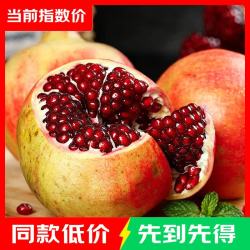 2026正宗突尼斯软籽石榴四川会理产地直发整箱 三斤100+