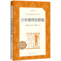 少年维特的烦恼（《语文》阅读丛书）人民文学出版社