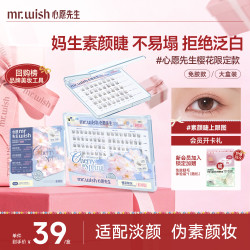 MR.WISH 免胶假睫毛淡妆百搭清透感睫毛新手友好