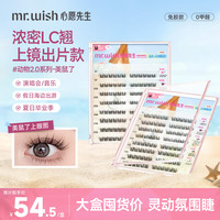MR.WISH 免胶假睫毛鸟鼠LC翘单眼皮女团睫眼睫毛