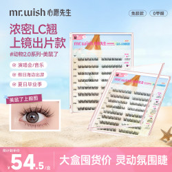 MR.WISH 免胶假睫毛鸟鼠LC翘单眼皮女团睫眼睫毛