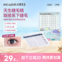 MR.WISH 倒扣镊白日梦心愿先生自然仿真单簇睫毛隐形