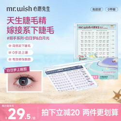 MR.WISH 倒扣镊白日梦心愿先生自然仿真单簇睫毛隐形