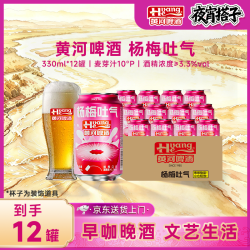 黄河啤酒 果酒麦汁10°P 330ml*12罐(保底喝到12月)
