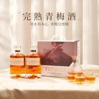 YUTMISO 天然浓郁青梅酒500ml*2瓶装中秋送礼送闺蜜朋友D