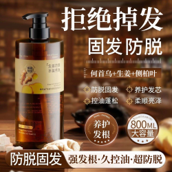 Vetes 生姜洗发水控油蓬松防脱头发持久留香去屑柔顺家庭洗头膏推荐男女