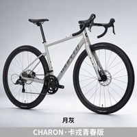 SUNPEED 卡戎青春版 砾石弯把 全地形瓜车
