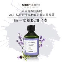 o‘plants oplants薰衣草纯露真正薰衣草花水500ml做湿敷面膜爽肤水喷雾源自澳洲