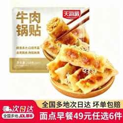天海藏 牛肉锅贴 250g*1袋