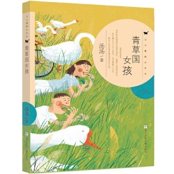 全套30册汤汤奇幻童年故事本奇妙故事集水妖喀喀莎美人树雪精来过美人树小鱼