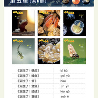 生命的故事10册44册科普绘本礼盒3-10岁诞生了系列昆虫动物百科全书少儿童课外