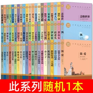 世界经典名著老人与海红与黑飘悲惨世界巴黎圣母院呼啸山庄童年在人间我的大学人间