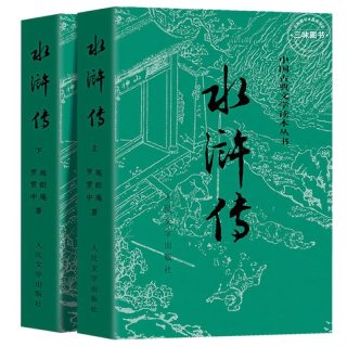 上下全2册 水浒传原著正版 人民文学出版社 完整版无删减带注释 四大名著必读