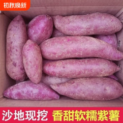 农家新鲜糖心紫薯5斤新鲜板栗红薯番薯地瓜蜜薯山芋烟薯蔬菜