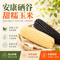 白甜糯玉米现摘新鲜糯黄玉米真空装包装袋早餐代餐甜糯