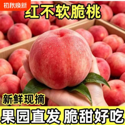 良果谷 水蜜桃头茬山西运城水蜜桃新鲜桃子当季水果孕妇水蜜桃脆桃