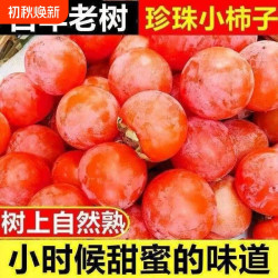 正宗火晶柿子超甜蜜柿软甜无核无籽当季新鲜水果一箱包邮