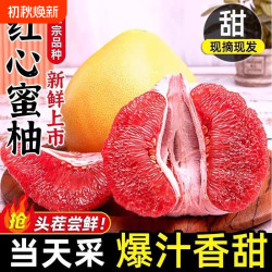 土夫子 正宗老树红心蜜柚红心柚子5斤新鲜当季平和柚子现摘包邮广西仓发