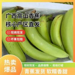 高山有机肥农家自种广西高山香蕉果新鲜母婴水果自然熟天然无添加