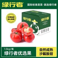 绿行者 粉番茄3斤沙瓤粉果西红柿酸甜多汁生吃新鲜蔬菜水果