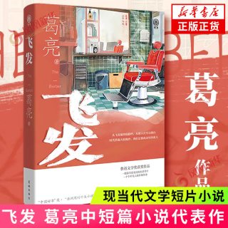 飞发 葛亮中短篇小说代表作 第八届鲁迅文学奖获奖作品 关于人的命运与尊严的故事