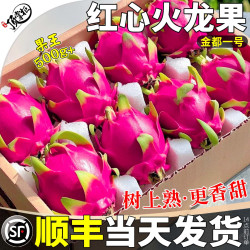 顶掌柜 顺丰广西金都一号红心火龙果新鲜10斤水果特大果当季现摘整箱包邮