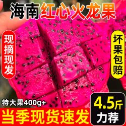 俏鲜莎 海南红心火龙果新鲜水果甜多汁应当季新鲜水果红芯现货整箱速发