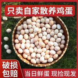 我老家 10-50枚山林散养土鸡蛋新鲜正宗农家笨鸡蛋五谷喂养谷物蛋鲜鸡蛋T